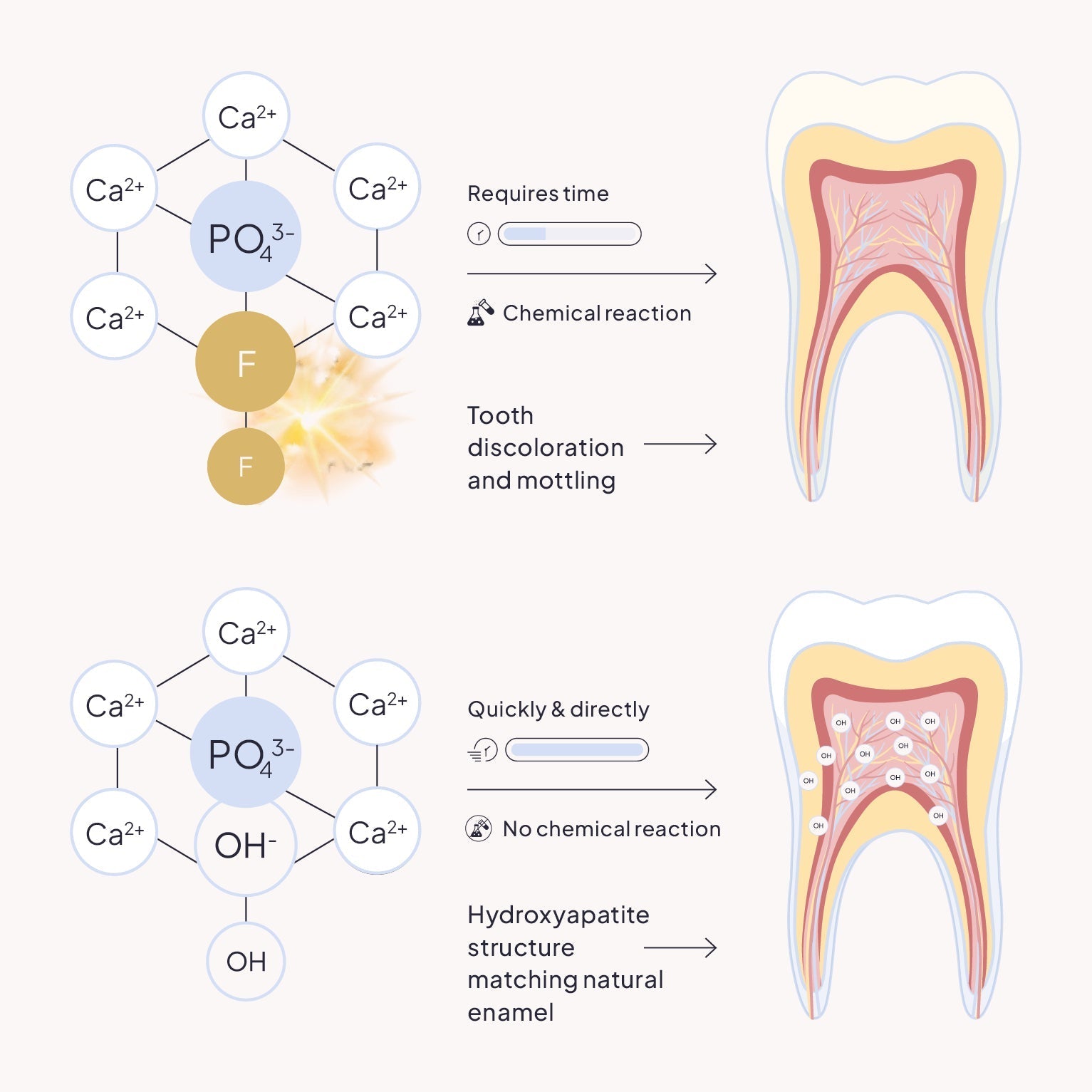 Hydroxyapatite vs. Fluoride: A Dentist's 2026 Guide