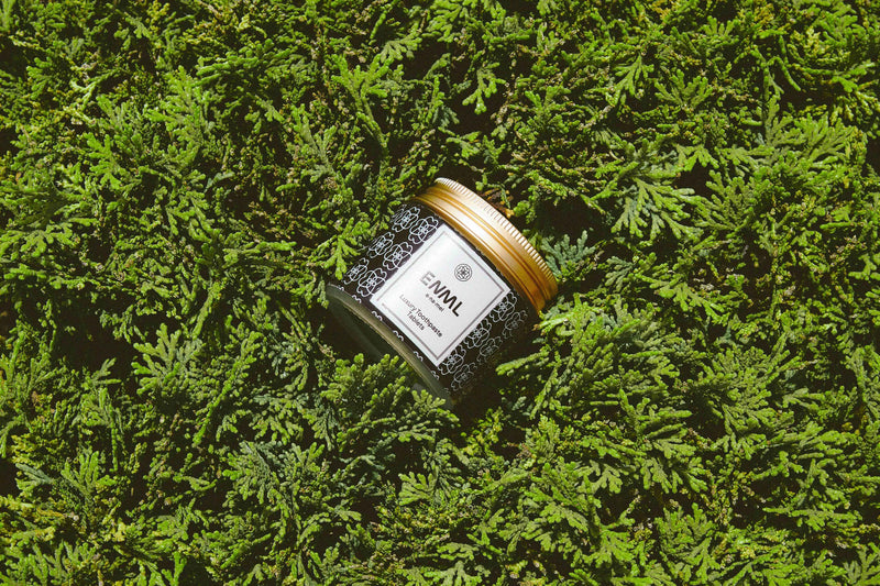 Top Natural Alternatives to Toothpaste: A Comprehensive Guide for Cleaner, Greener Oral Care
