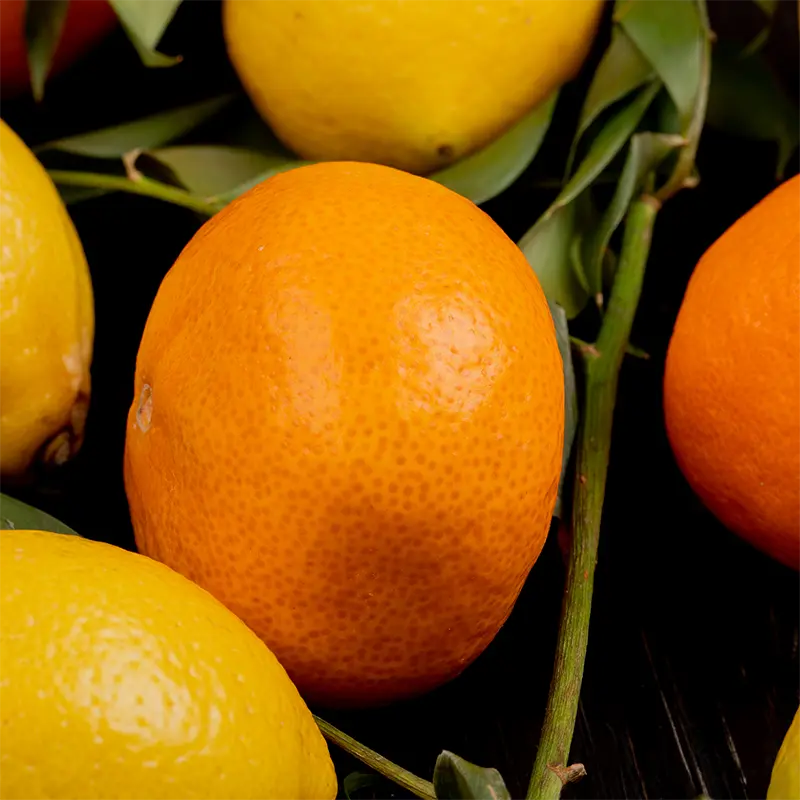 Natural Citrus Flavor