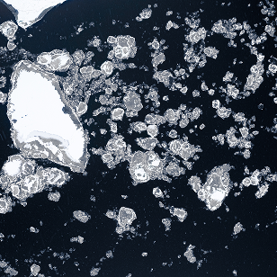 Micro-Hydroxyapatite